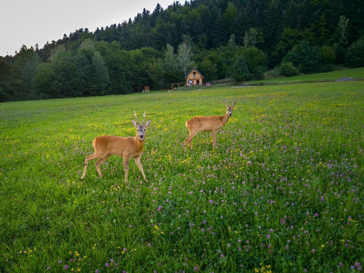 Domek Bogdanowka Pisarzowa Exteriör bild